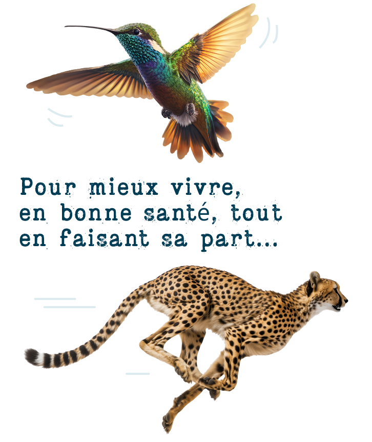 Pour mieux vivre, en bonne santé, tout en faisant sa part...