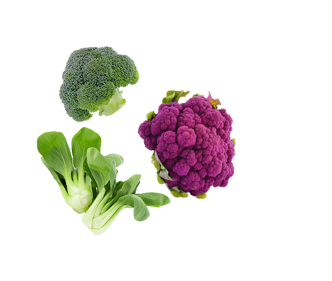L’alimentation est un puissant levier d’action